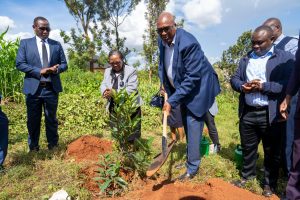 MKU founder Professor Simon Gicharu joins governing body in tree-planting ceremony at newly acquired Karembure expansion site MKU founder Professor Simon Gicharu joins governing body in tree-planting ceremony at newly acquired Karembure expansion site